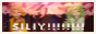 site button